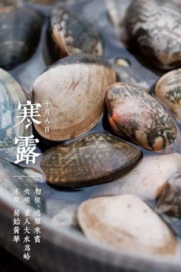 網 頁 連 結